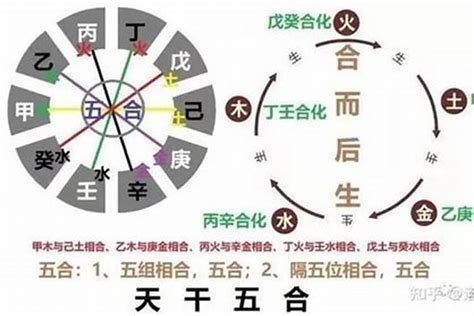 八字 木旺|命中八字木属性太旺的人 (八字木旺的人要注意什么)